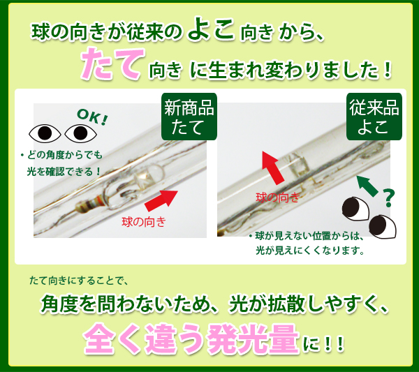 LED塼֥饤ȡʥץ饤ȡ2ĥ/ľ10mmθ